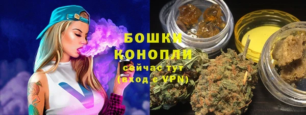 прущие грибы Ладушкин