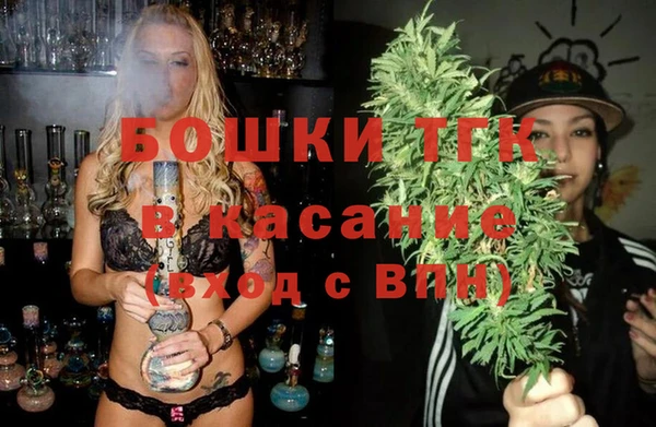 прущие грибы Ладушкин