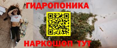 ПСИЛОЦИБИНОВЫЕ ГРИБЫ Волжск