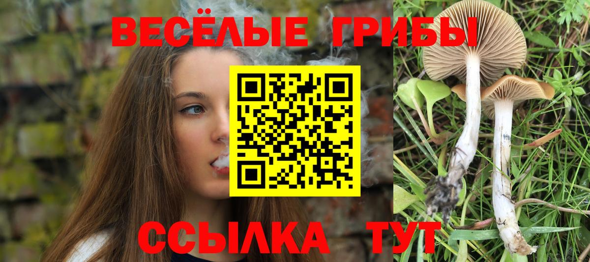 Галлюциногенные грибы MAGIC MUSHROOMS  Добрянка 