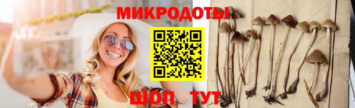 Добрянка  Галлюциногенные грибы Psilocybe  Вход с VPN  Псилоцибиновые грибы Psilocybine cubensis 